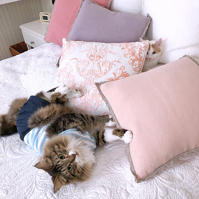 yuchiさんの実例写真
