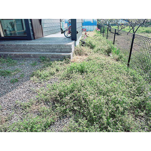 darakoさんの部屋