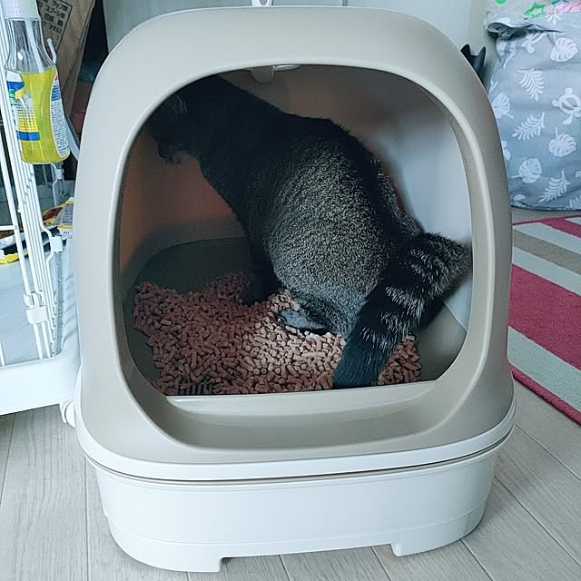 cocomintさんの部屋
