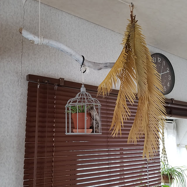 midoriさんの実例写真