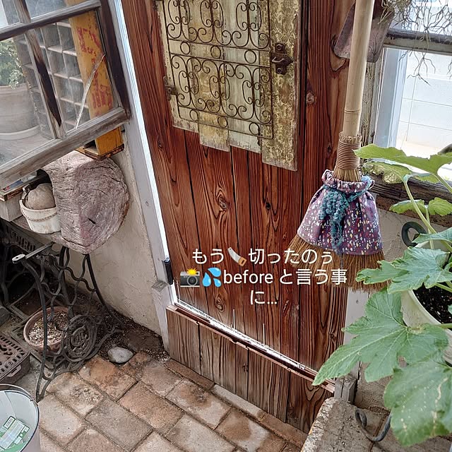 akaidarumaさんの部屋