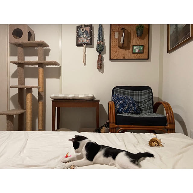 TSUYOSHI.さんの実例写真