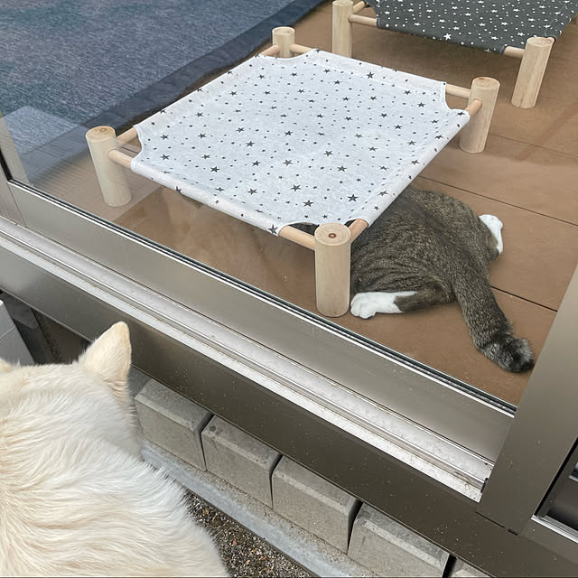 manekinekoさんの実例写真