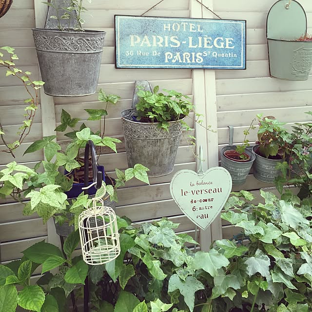 greenroseさんの実例写真