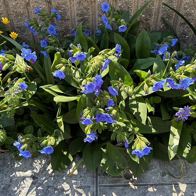 romiromiさんの部屋