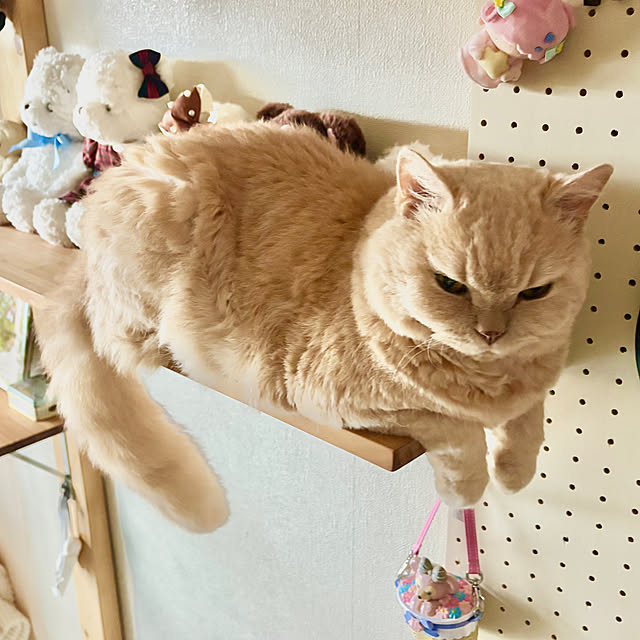 naokoさんの部屋