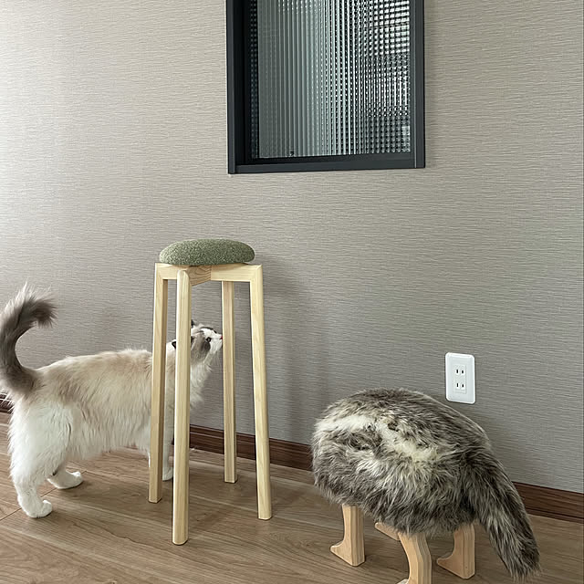 chiさんの実例写真