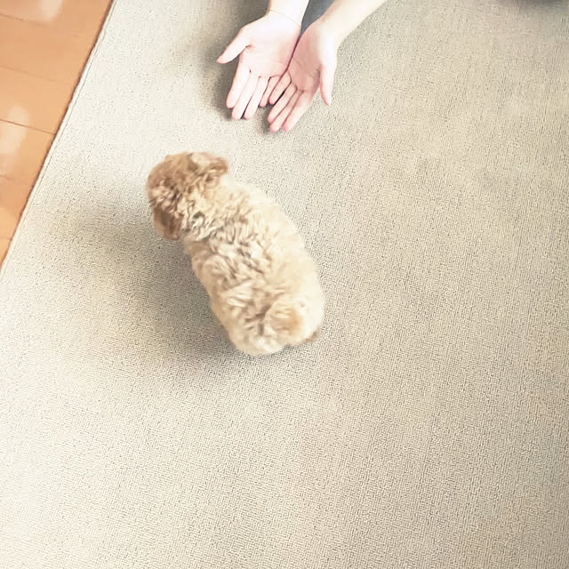 kawauso15さんの部屋