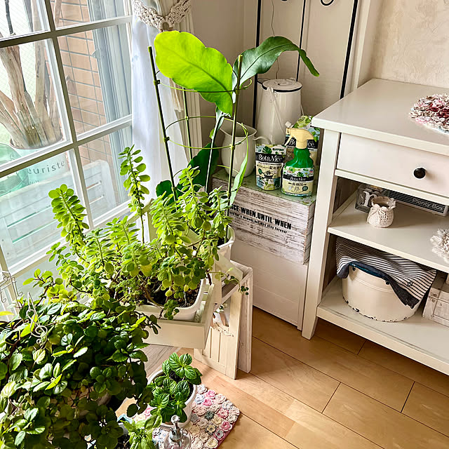 reeさんの部屋