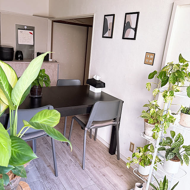 y.frvr.ks-lvyuiさんの実例写真