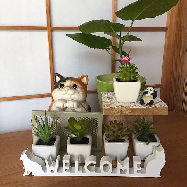 yocchiさんの実例写真