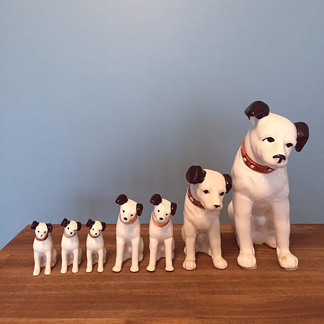 robi_tntmさんの実例写真