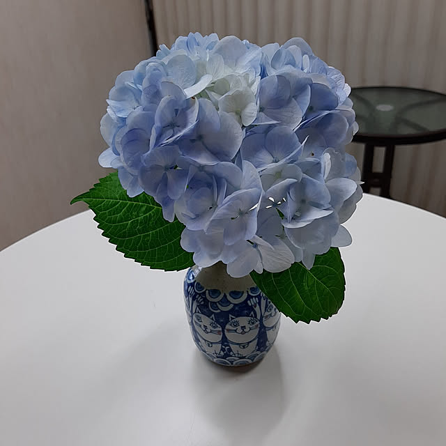 kakisanさんの実例写真