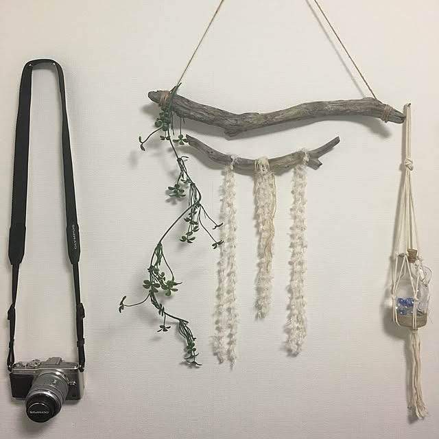 壁/天井/セリア/DIY/100均/観葉植物...などのインテリア実例 - 2016-03-03 00:32:30
