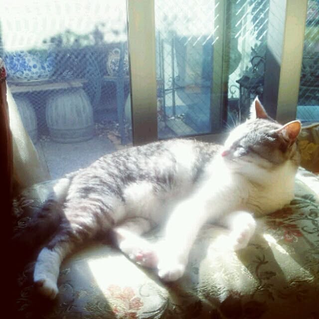 emmyyさんの実例写真