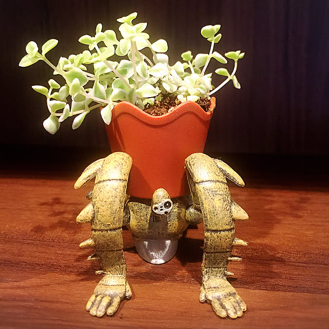hakunamataさんの実例写真