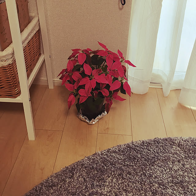 hachiさんの実例写真
