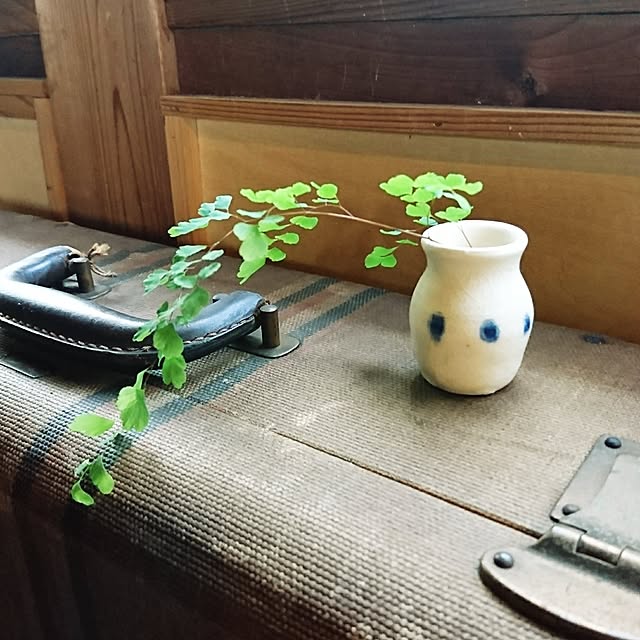 kippeiさんの実例写真