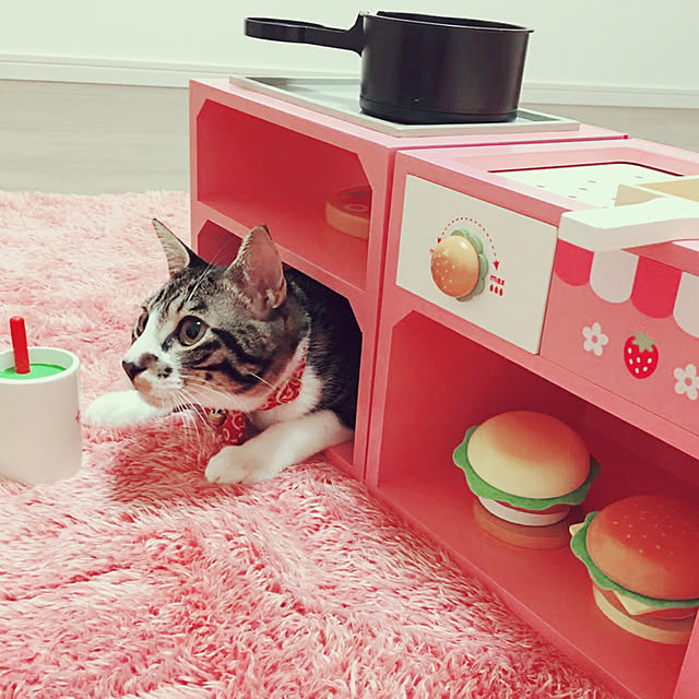 ippu0303Karinさんの実例写真