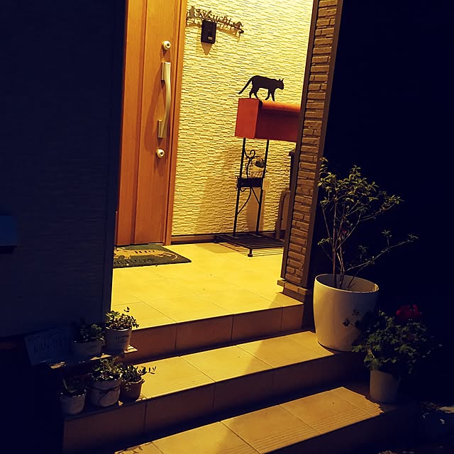 megu.catさんの実例写真