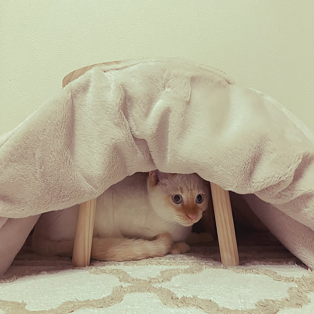 YUKIFUKUさんの部屋