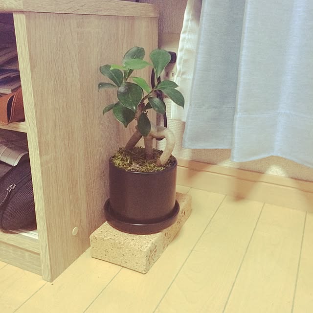 MASAさんの実例写真