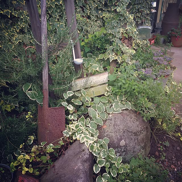 TOROさんの実例写真