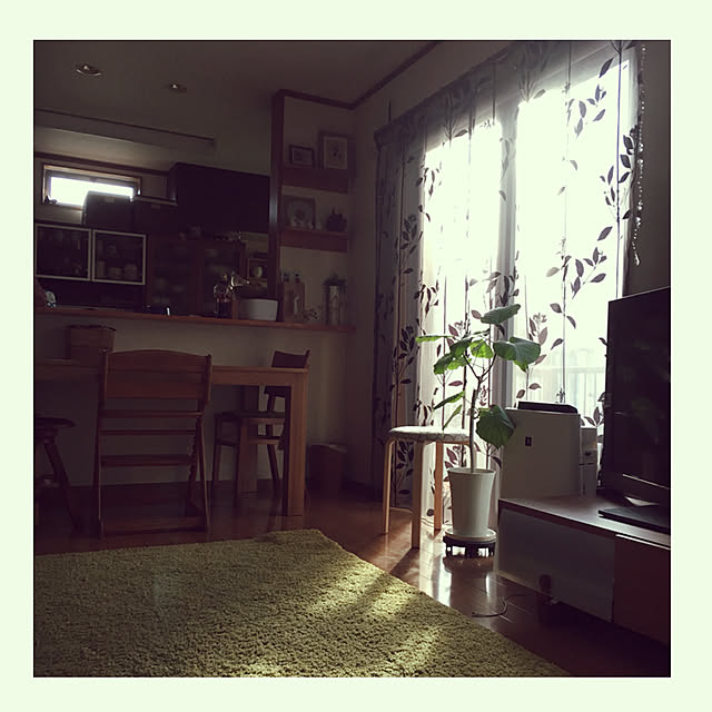 tom_myさんの実例写真