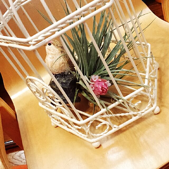 sasuaさんの実例写真