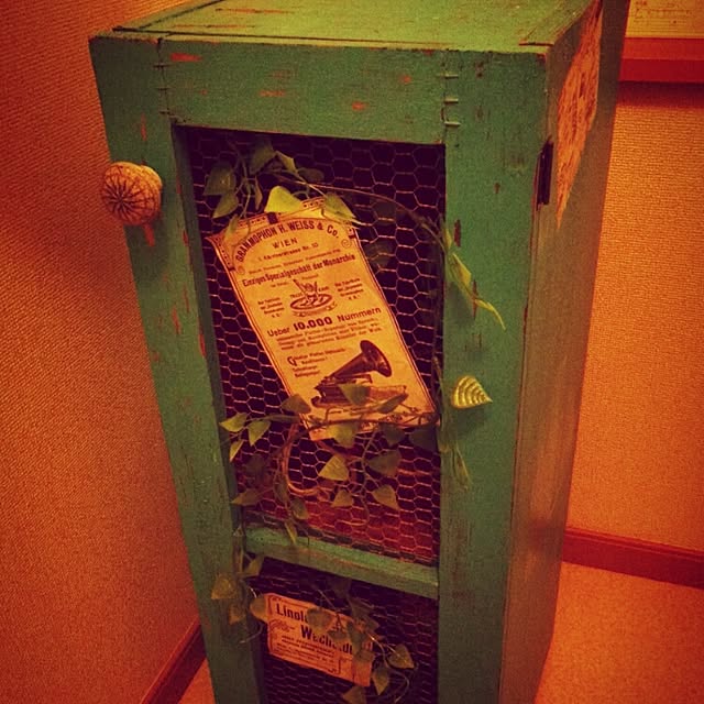 saltさんの実例写真