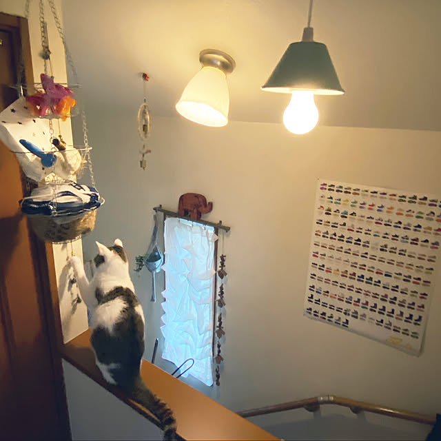 Lufuさんの実例写真