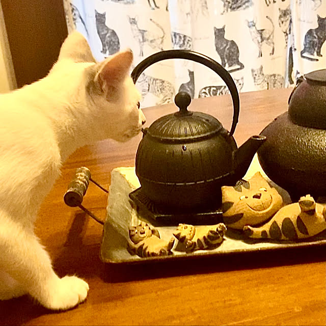 butachanさんの実例写真