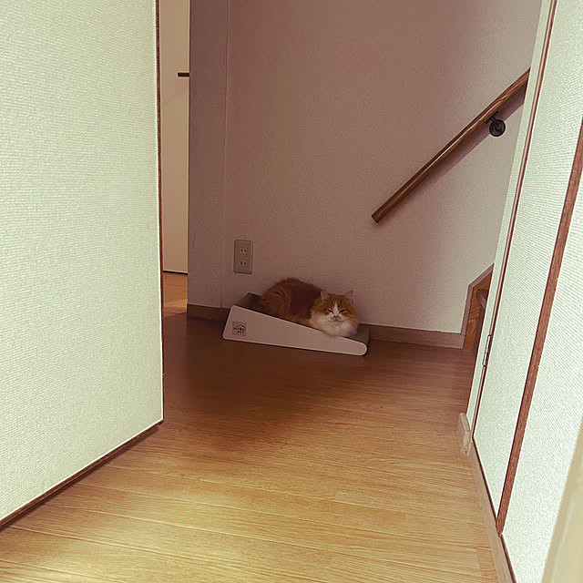 junさんの実例写真