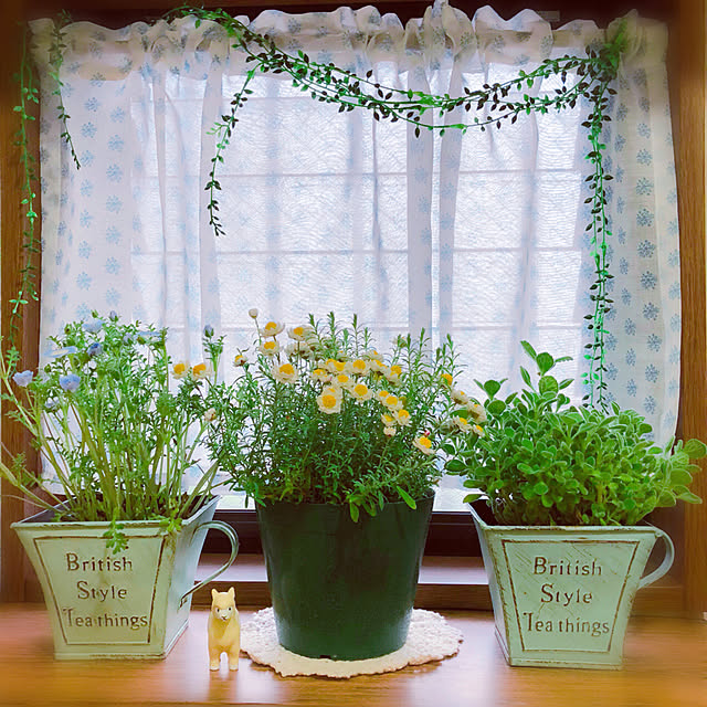 yukatakoさんの実例写真