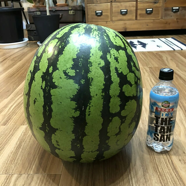 tama0330さんの実例写真