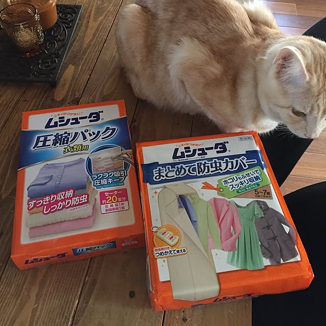 Peroさんの実例写真