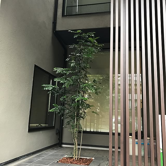 daiさんの実例写真