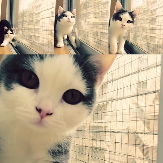 yunさんの実例写真