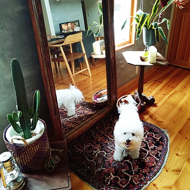 musaさんの実例写真
