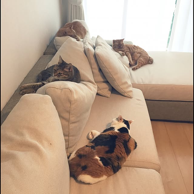 HRMLRさんの実例写真