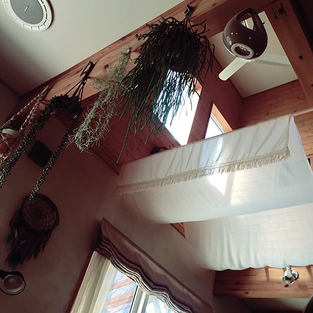 omura_timoさんの実例写真