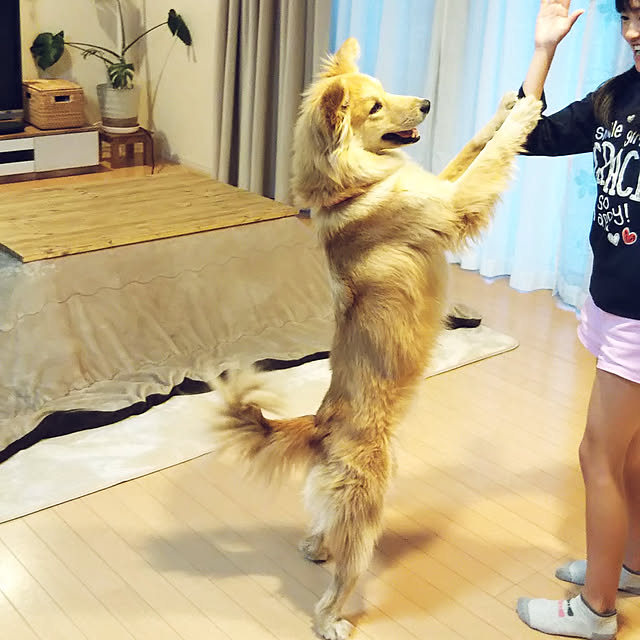 kaoriさんの実例写真