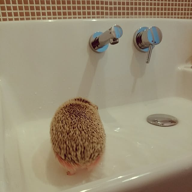 kuruさんの実例写真