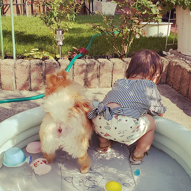mi-さんの実例写真