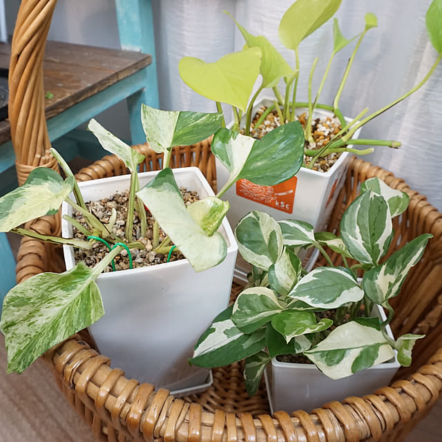 asさんの部屋