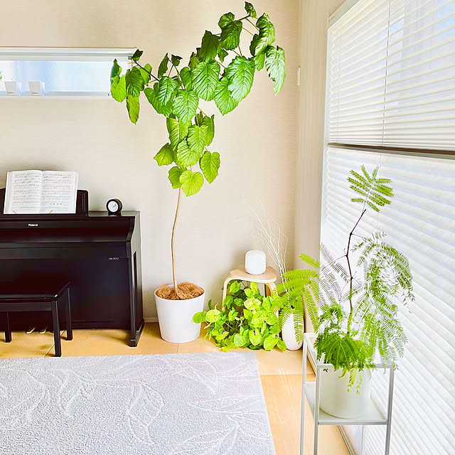部屋全体/癒しスペース/観葉植物のある部屋/和室を洋室に/ピアノのある部屋...などのインテリア実例 - 2025-04-18 20:37:15