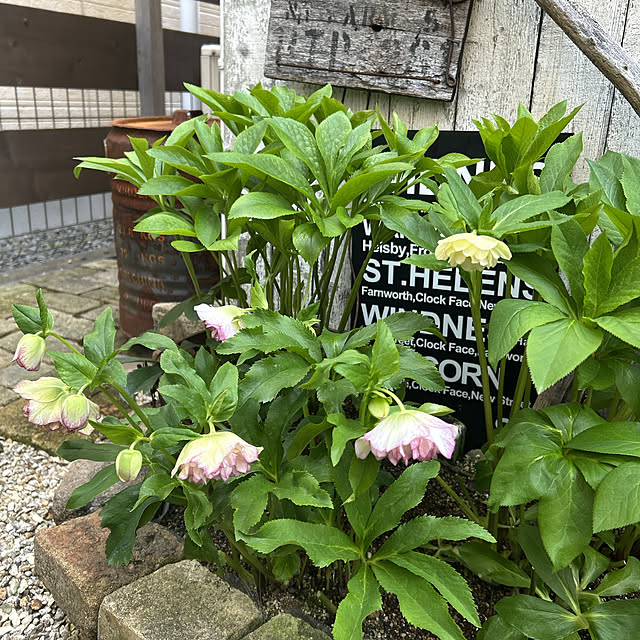 shhさんの部屋