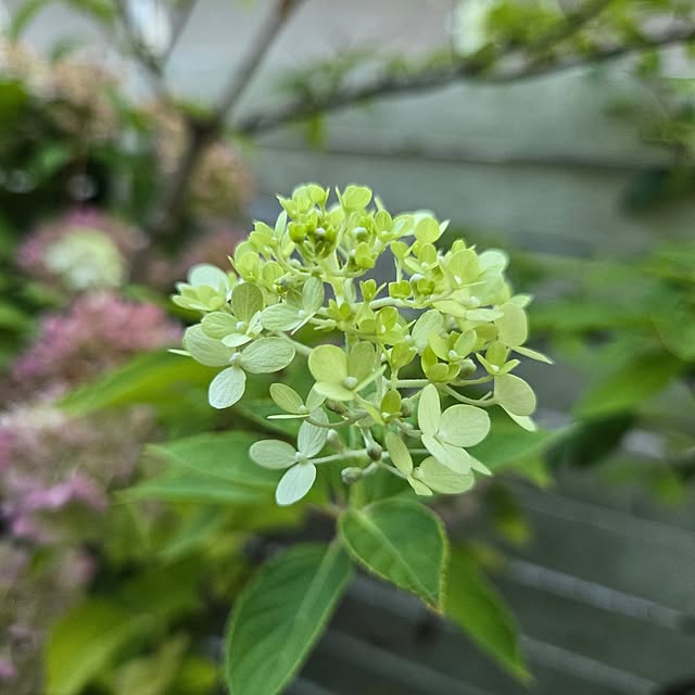 min_nimさんの部屋