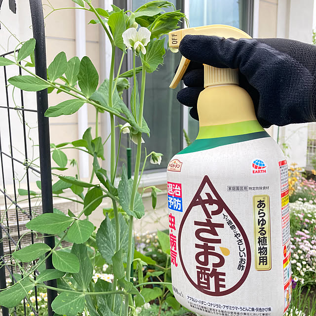 kuroさんの部屋