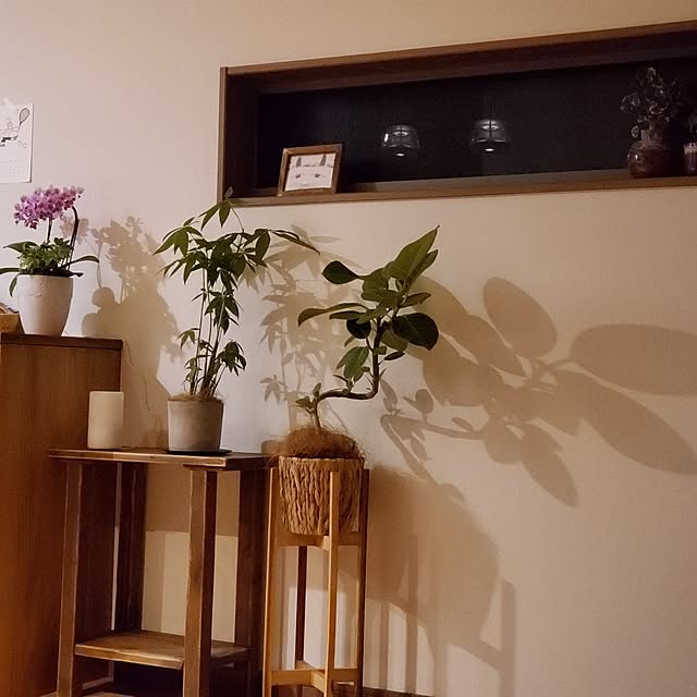 tunaguさんの実例写真
